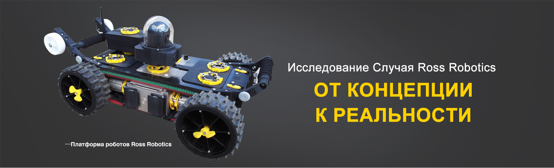 Исследование Случая Ross Robotics — ОТ КОНЦЕПЦИИ К РЕАЛЬНОСТИ